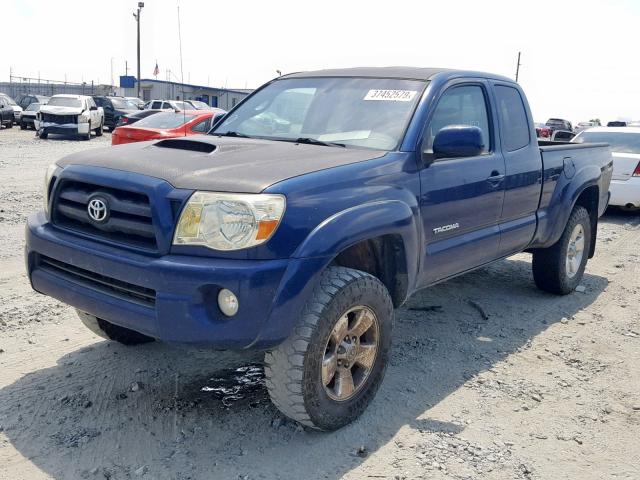 5TETU62N37Z433691 - 2007 TOYOTA TACOMA PRE BLUE photo 2