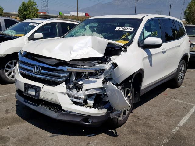 5FNYF5H77HB013860 - 2017 HONDA PILOT EXLN WHITE photo 2