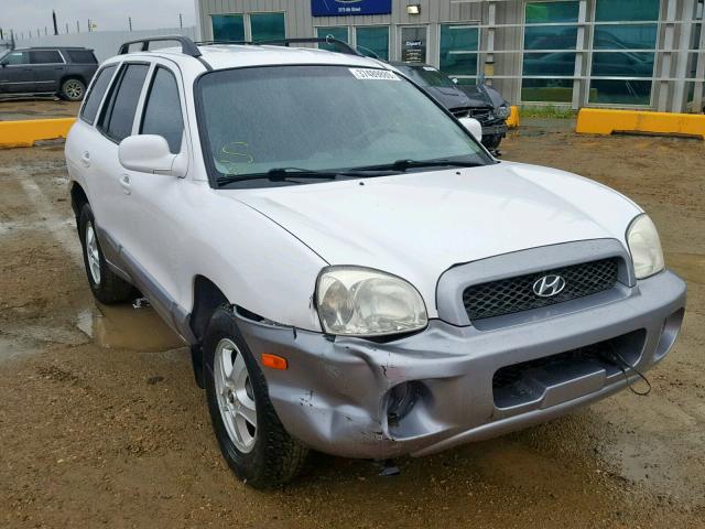 KM8SB13D64U709209 - 2004 HYUNDAI SANTA FE WHITE photo 1