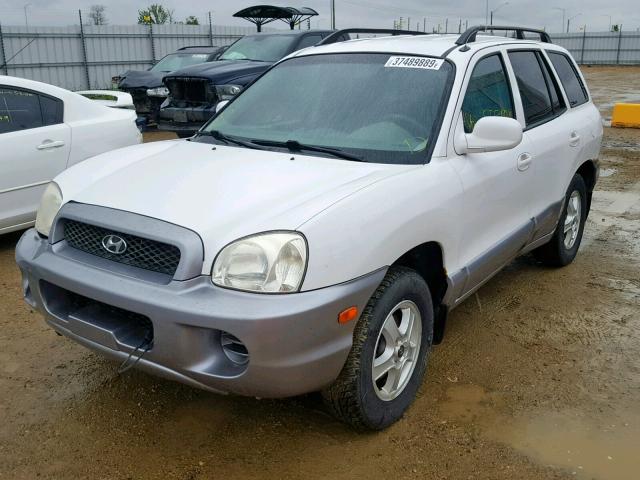 KM8SB13D64U709209 - 2004 HYUNDAI SANTA FE WHITE photo 2