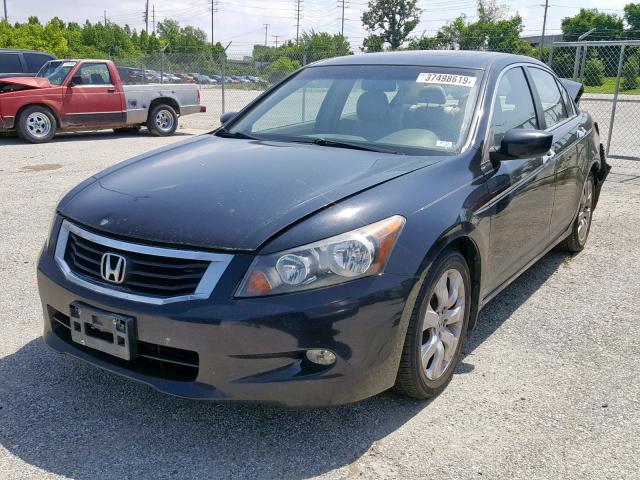 1HGCP36808A031537 - 2008 HONDA ACCORD EXL BLACK photo 2