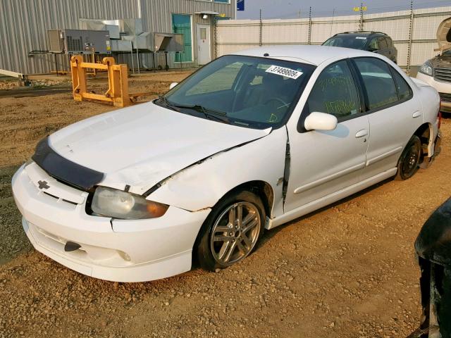 1G1JH52F547254501 - 2004 CHEVROLET CAVALIER L WHITE photo 2