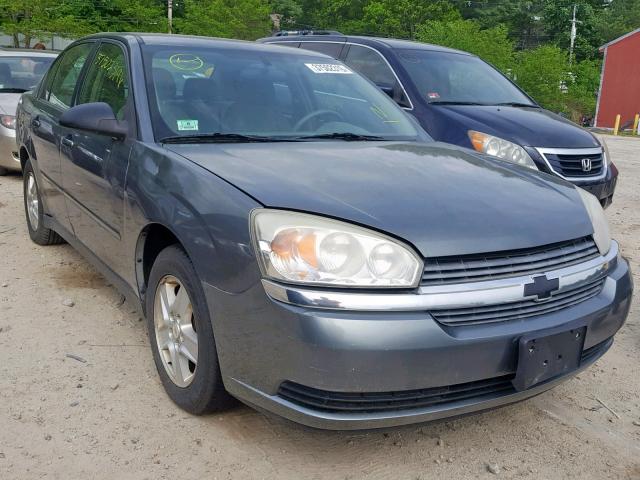 1G1ZT54875F125330 - 2005 CHEVROLET MALIBU LS GRAY photo 1