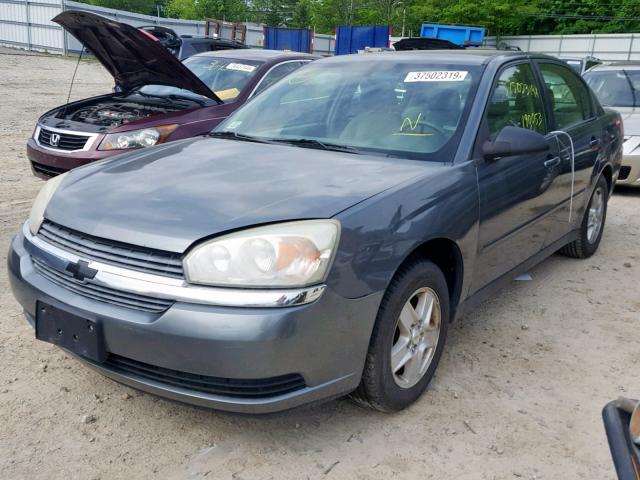 1G1ZT54875F125330 - 2005 CHEVROLET MALIBU LS GRAY photo 2