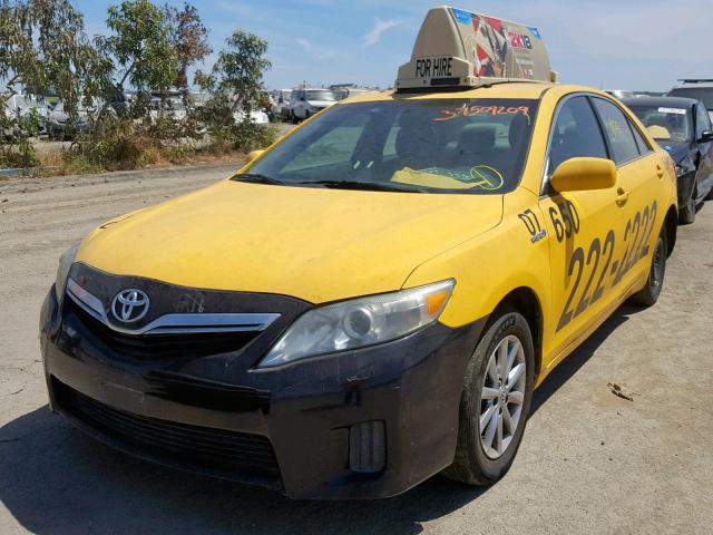 4T1BB3EKXAU115709 - 2010 TOYOTA CAMRY HYBR YELLOW photo 2