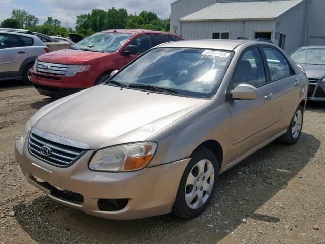 KNAFE121185534417 - 2008 KIA SPECTRA EX GOLD photo 2