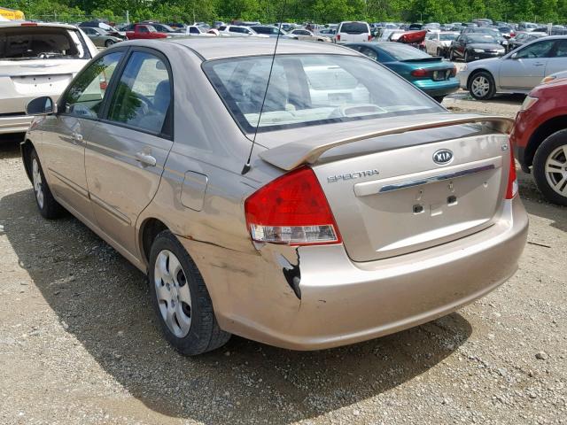 KNAFE121185534417 - 2008 KIA SPECTRA EX GOLD photo 3