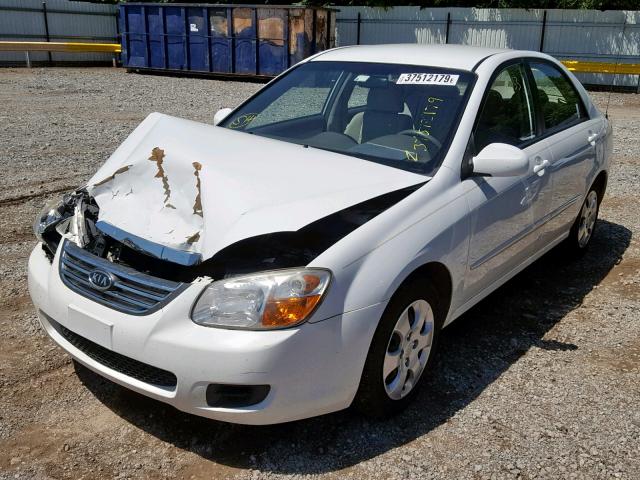 KNAFE121785561816 - 2008 KIA SPECTRA EX WHITE photo 2