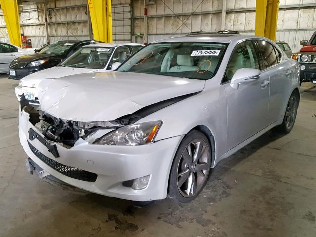 JTHBF5C28A5126014 - 2010 LEXUS IS 250 WHITE photo 2