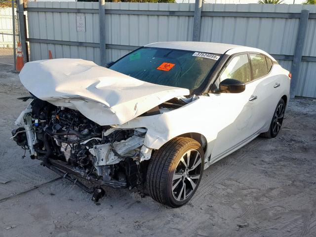 1N4AA6AP6JC361531 - 2018 NISSAN MAXIMA 3.5 WHITE photo 2