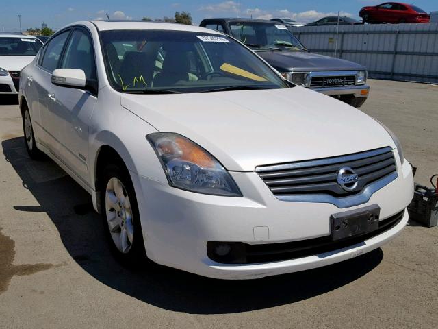 1N4CL21EX8C231501 - 2008 NISSAN ALTIMA HYB WHITE photo 1