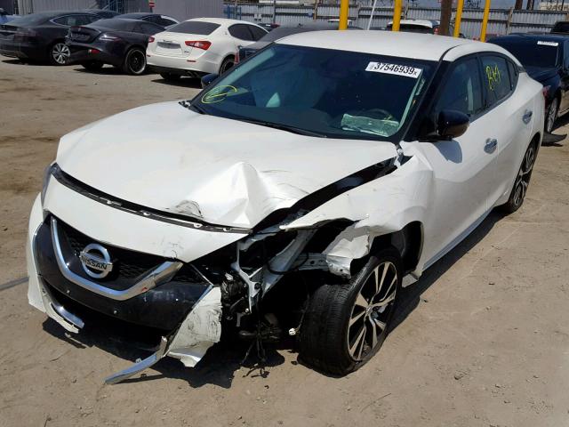 1N4AA6AP4JC388243 - 2018 NISSAN MAXIMA 3.5 WHITE photo 2