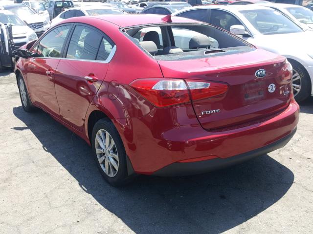 KNAFX4A88E5113820 - 2014 KIA FORTE EX RED photo 3