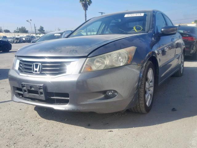 1HGCP36828A051482 - 2008 HONDA ACCORD EXL GRAY photo 2