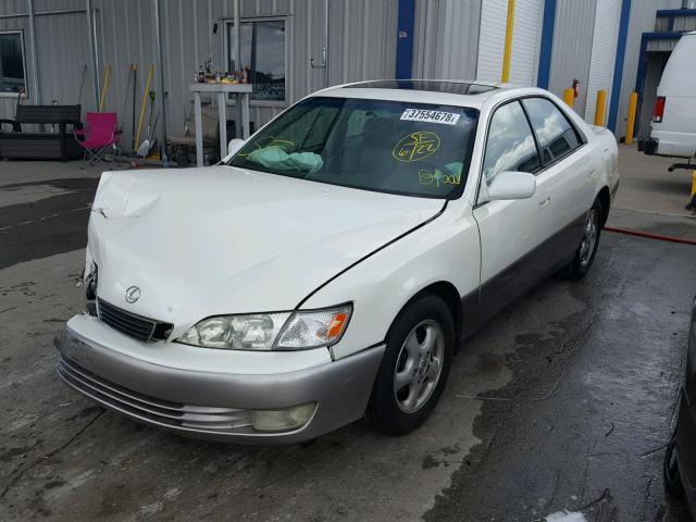 JT8BF22G8V0078075 - 1997 LEXUS ES 300 WHITE photo 2