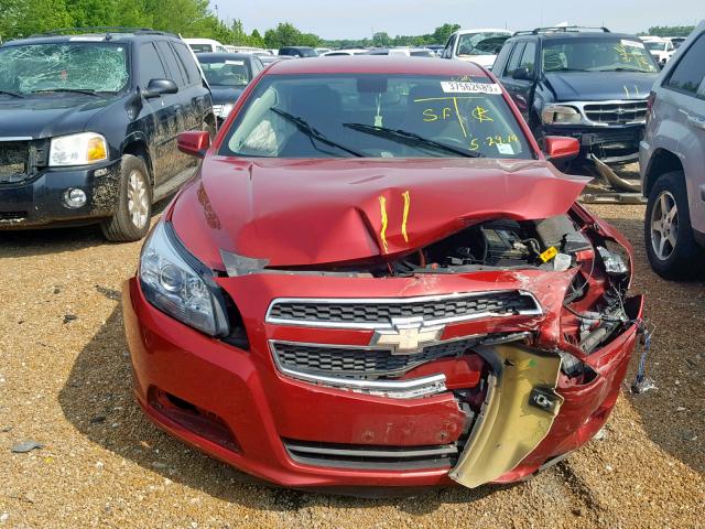 1G11D5SR9DF300035 - 2013 CHEVROLET MALIBU 1LT RED photo 7