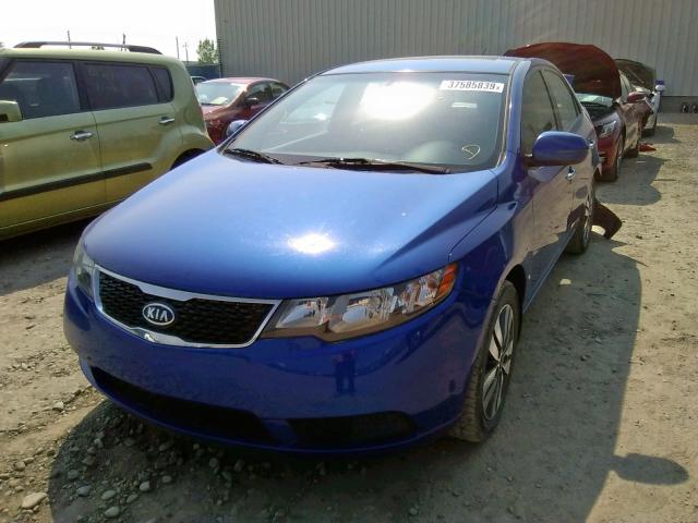 KNAFU4A28D5645703 - 2013 KIA FORTE EX BLUE photo 2