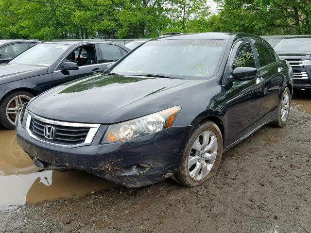 1HGCP3F84AA015377 - 2010 HONDA ACCORD EXL BLACK photo 2