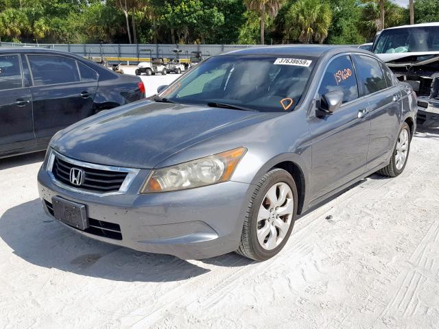 JHMCP26898C032746 - 2008 HONDA ACCORD EXL BLUE photo 2