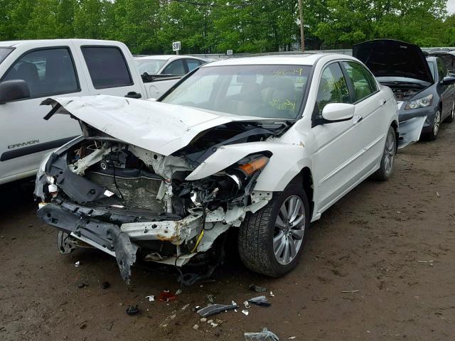 1HGCP3F86CA018381 - 2012 HONDA ACCORD EXL WHITE photo 2