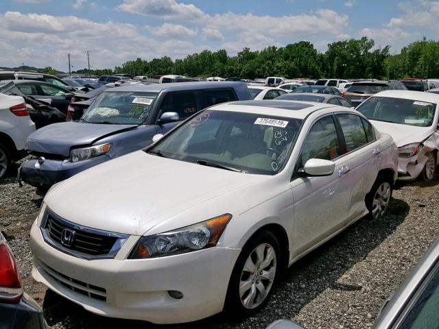 1HGCP36818A032549 - 2008 HONDA ACCORD EXL WHITE photo 2