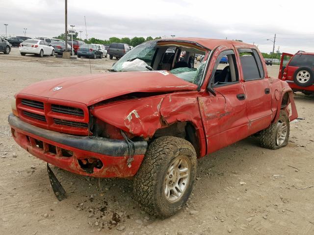 1B7GG2AN21S205275 - 2001 DODGE DAKOTA QUA RED photo 2