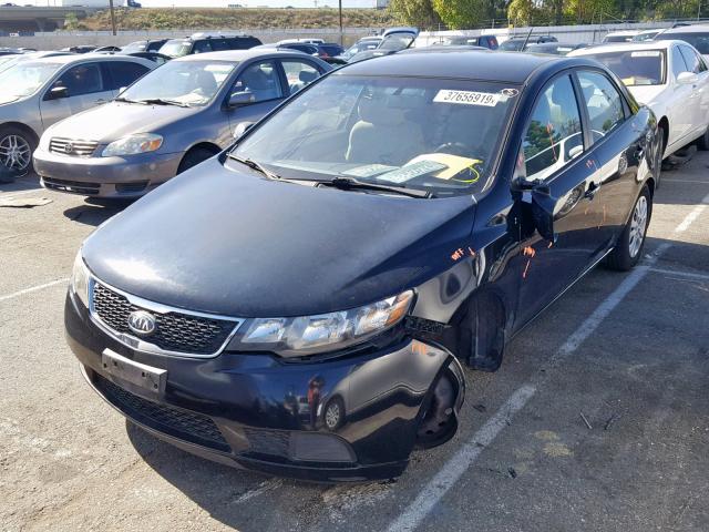 KNAFU4A24D5657721 - 2013 KIA FORTE EX BLACK photo 2