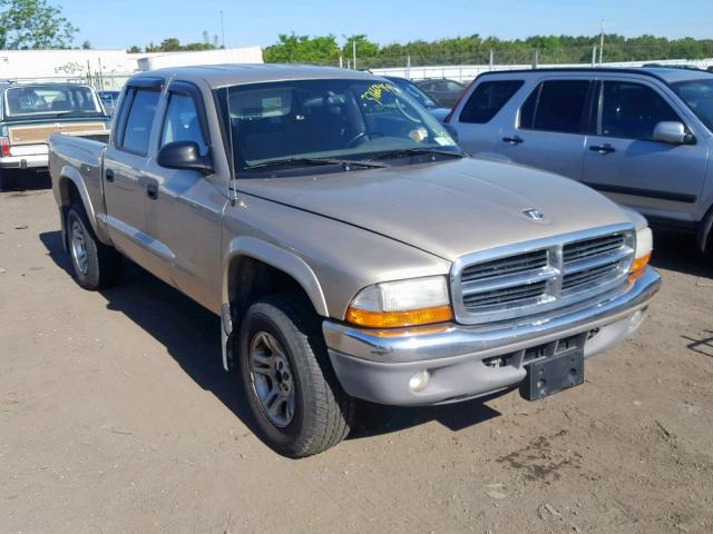 1D7HG48N73S324051 - 2003 DODGE DAKOTA QUA TAN photo 1