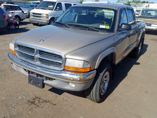 1D7HG48N73S324051 - 2003 DODGE DAKOTA QUA TAN photo 2