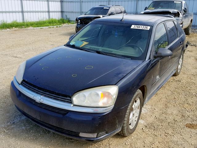 1G1ZU64885F141152 - 2005 CHEVROLET MALIBU MAX BLUE photo 2