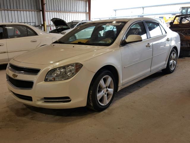 1G1ZC5E13BF320063 - 2011 CHEVROLET MALIBU 1LT თეთრი ფოტო 2
