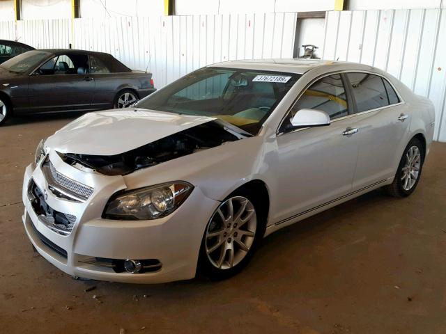 1G1ZE5E79BF177411 - 2011 CHEVROLET MALIBU LTZ თეთრი ფოტო 2