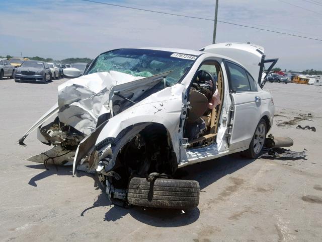 1HGCP36858A005807 - 2008 HONDA ACCORD EXL WHITE photo 2