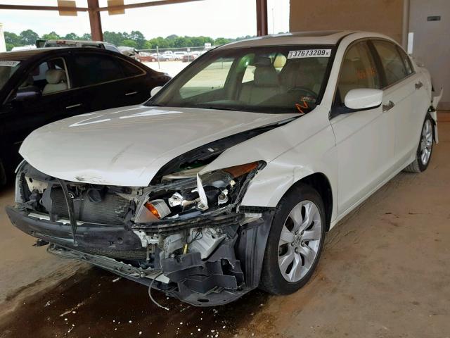 1HGCP36858A059589 - 2008 HONDA ACCORD EXL WHITE photo 2