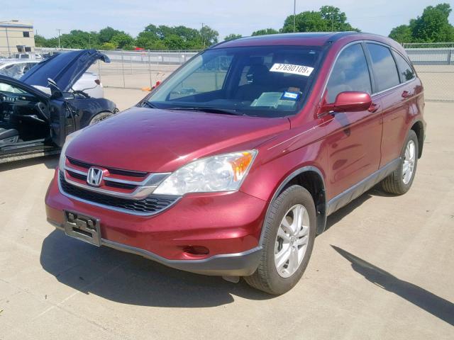 5J6RE3H78BL001128 - 2011 HONDA CR-V EXL BURGUNDY photo 2