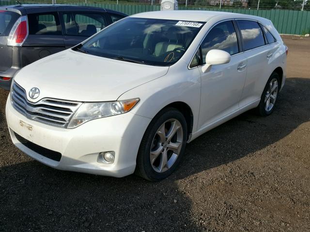 4T3BK11A89U003804 - 2009 TOYOTA VENZA WHITE photo 2