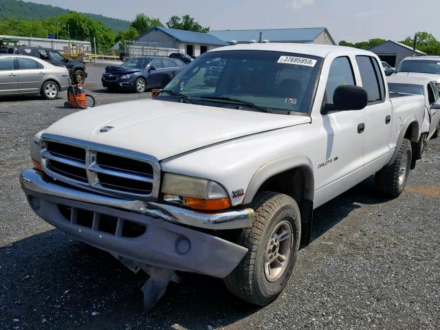 1B7GG2AN7YS604239 - 2000 DODGE DAKOTA QUA WHITE photo 2