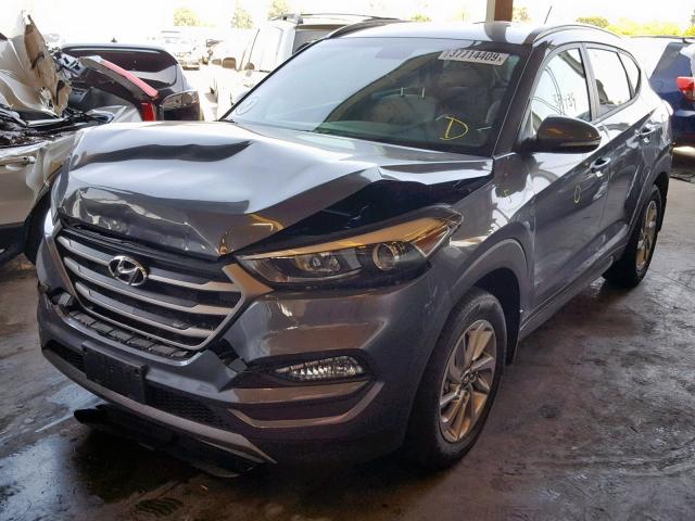 KM8J33A22GU159274 - 2016 HYUNDAI TUCSON LIM GRAY photo 2