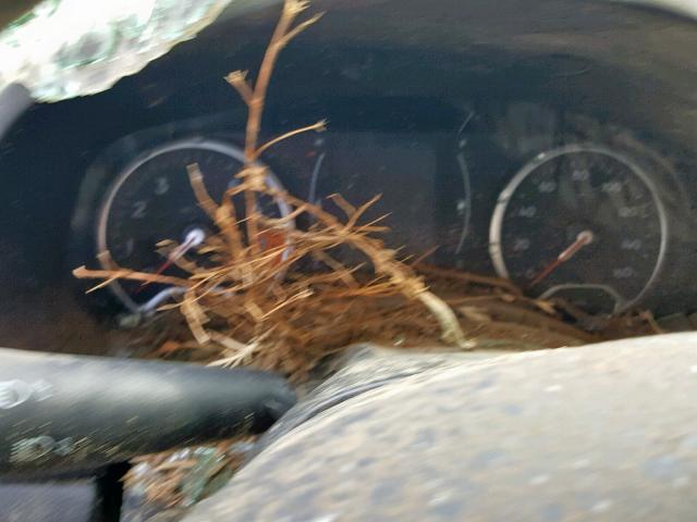 ZACCJBAT8GPE07518 - 2016 JEEP RENEGADE S 红色 照片 8