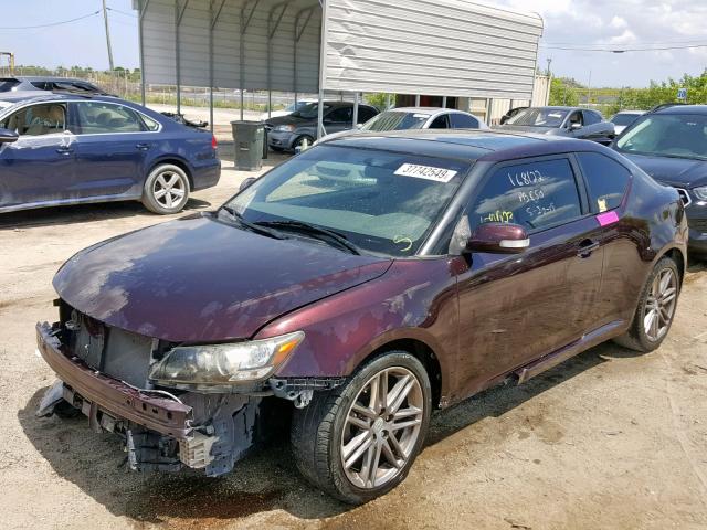 JTKJF5C75B3013457 - 2011 TOYOTA SCION TC იასამნისფერი ფოტო 2