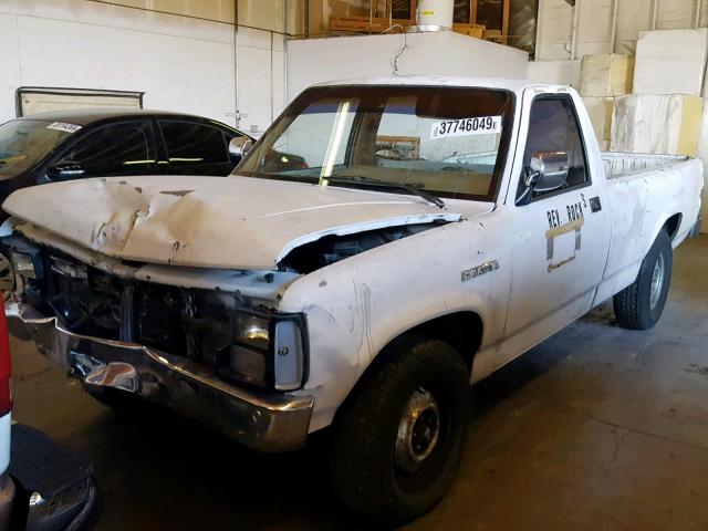 1B7GN14X2JS767142 - 1988 DODGE DAKOTA WHITE photo 2