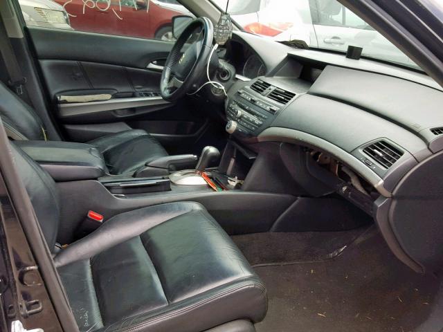 1HGCP26888A115339 - 2008 HONDA ACCORD EXL BLACK photo 5