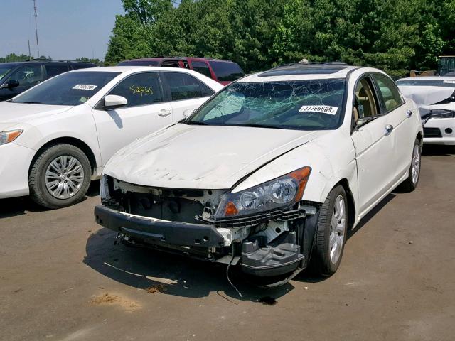 1HGCP36828A041325 - 2008 HONDA ACCORD EXL WHITE photo 2