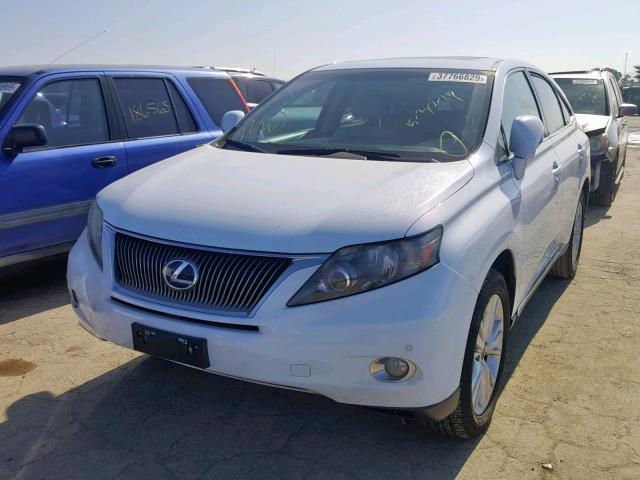 JTJZB1BA8A2000263 - 2010 LEXUS RX 450 WHITE photo 2