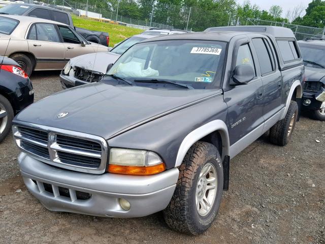 1B7HG48N32S670770 - 2002 DODGE DAKOTA QUA GRAY photo 2