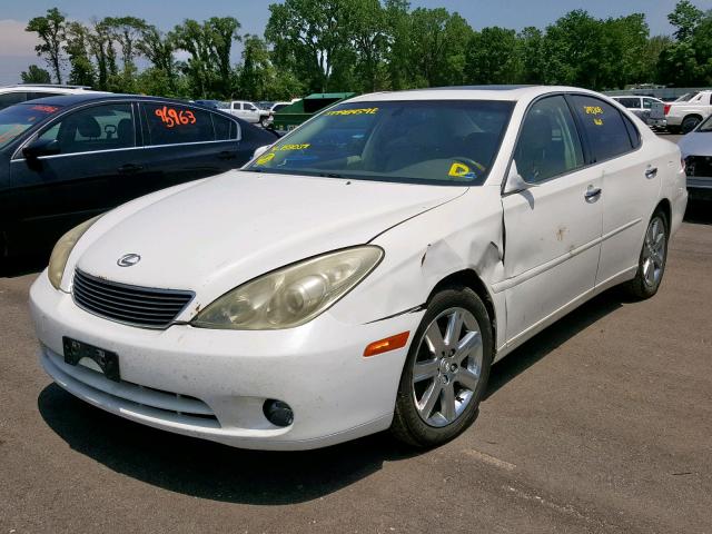 JTHBA30G165158037 - 2006 LEXUS ES 330 WHITE photo 2