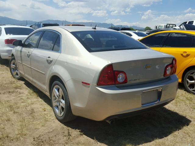 1G1ZC5EB3AF162606 - 2010 CHEVROLET MALIBU 1LT ოქროსფერი ფოტო 3