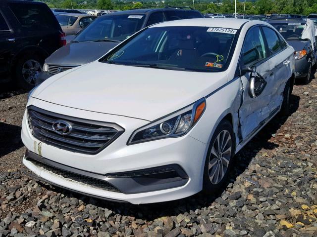 5NPE34AF3FH028264 - 2015 HYUNDAI SONATA SPO WHITE photo 2