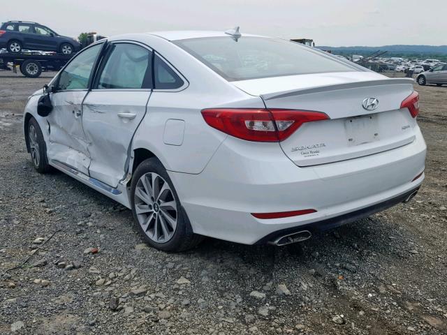 5NPE34AF3FH028264 - 2015 HYUNDAI SONATA SPO WHITE photo 3