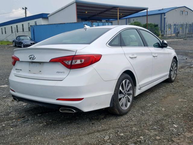 5NPE34AF3FH028264 - 2015 HYUNDAI SONATA SPO WHITE photo 4